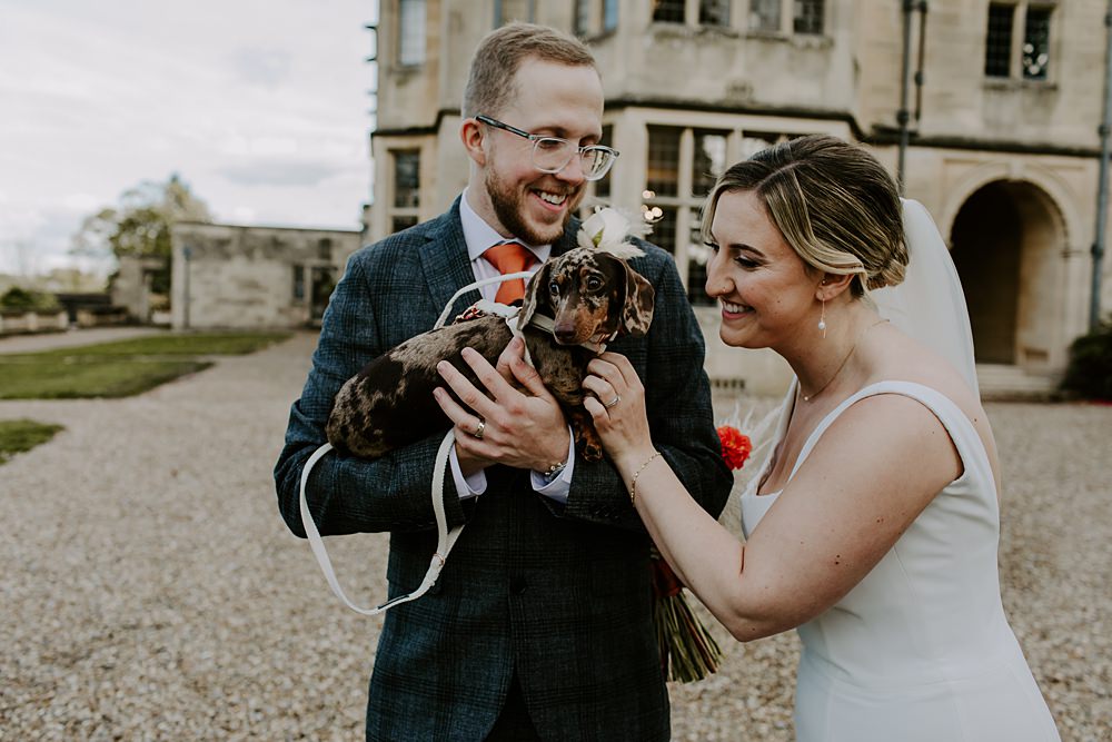 Dog Pet Burnt Orange Wedding Sian Hall Photography