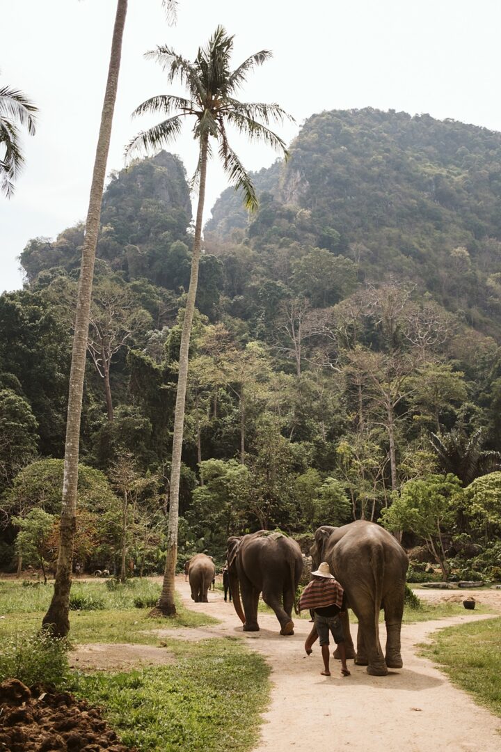 Rayavadee Krabi Wedding Thailand Blancorazon Wedding Elephants Mountains