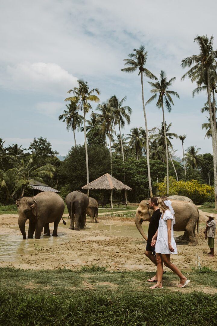 Rayavadee Krabi Wedding Thailand Blancorazon Wedding Bride Groom Elephants