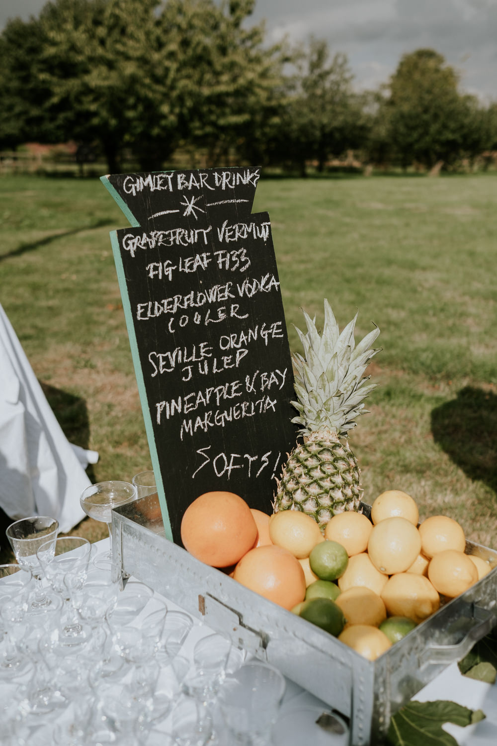 Fruit Drinks Bar Fun Community Wedding Joanna Nicole Photography