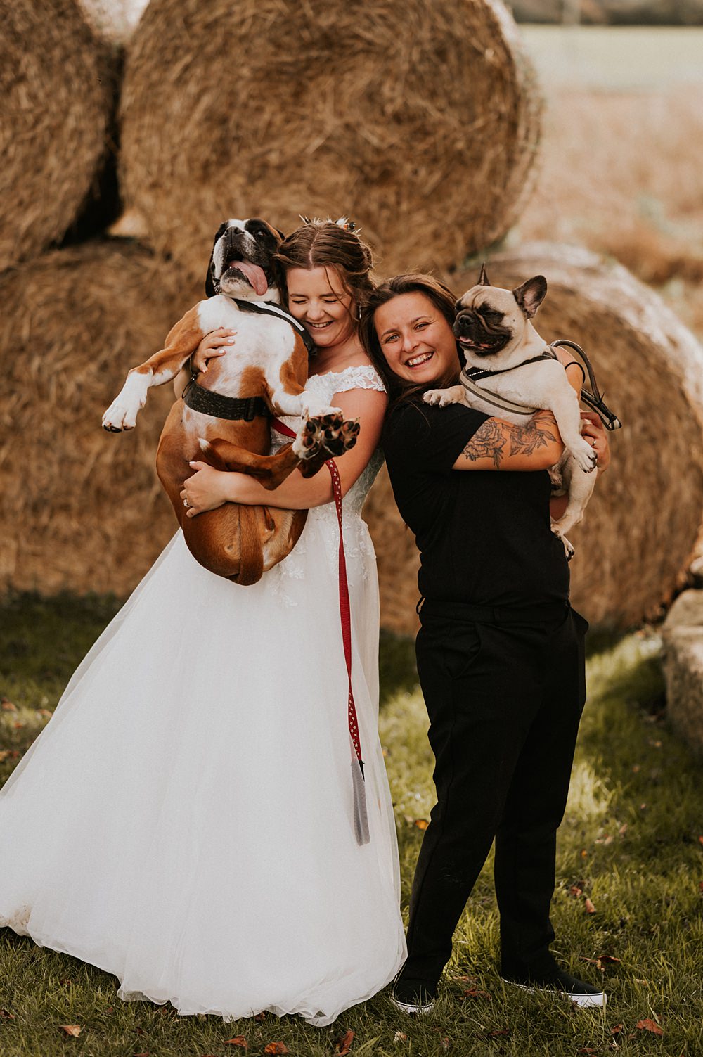 Dogs Pets Stennack Farm Wedding Hannah Barnes Photography