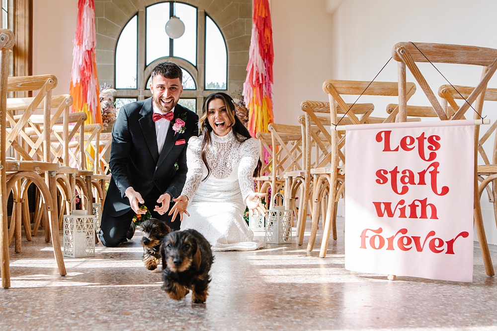 Colour Clash Wedding Ideas Victoria Sponge Photography Pet Dogs