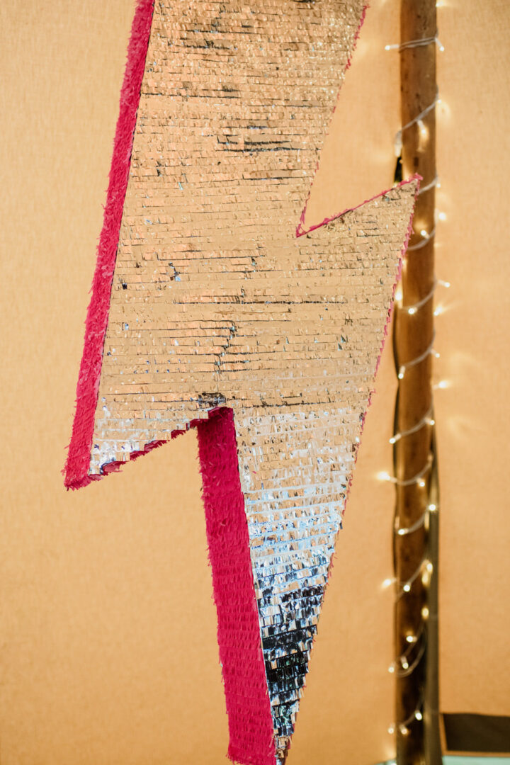 Harry Potter Lightning Bolt Pianta Idea Ellie Gillard Photography