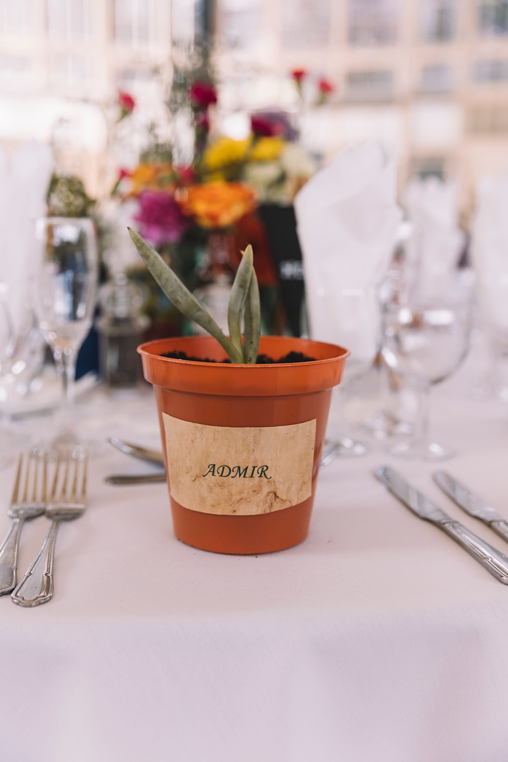 Harry Potter Table Names Decor Theme Place Name Pot Plant Pavilion Gardens Buxton Wedding Lauren Elliott Photography