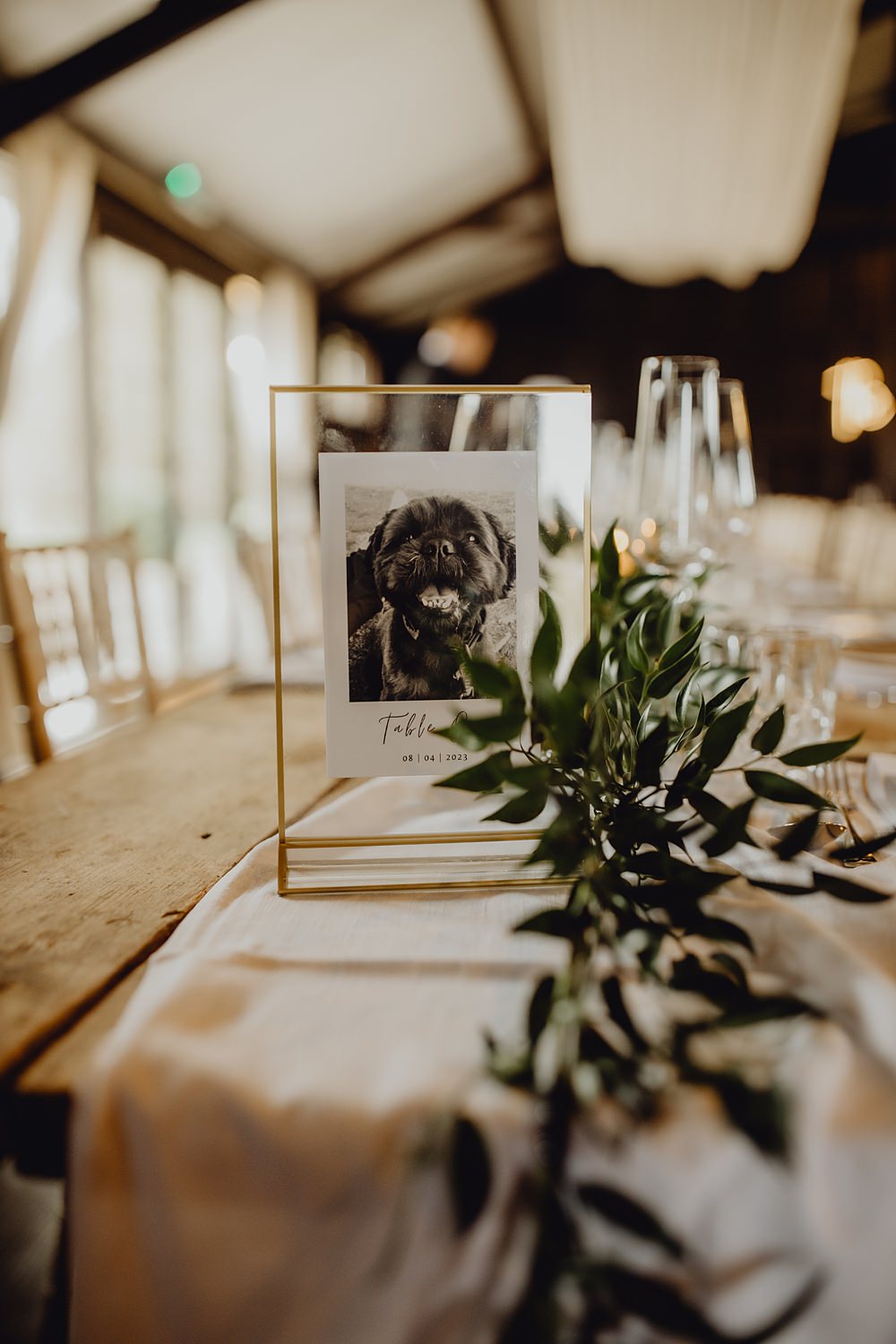 Pet Table Name Sign Curds Hall Barn Wedding Aurora Grey Photography