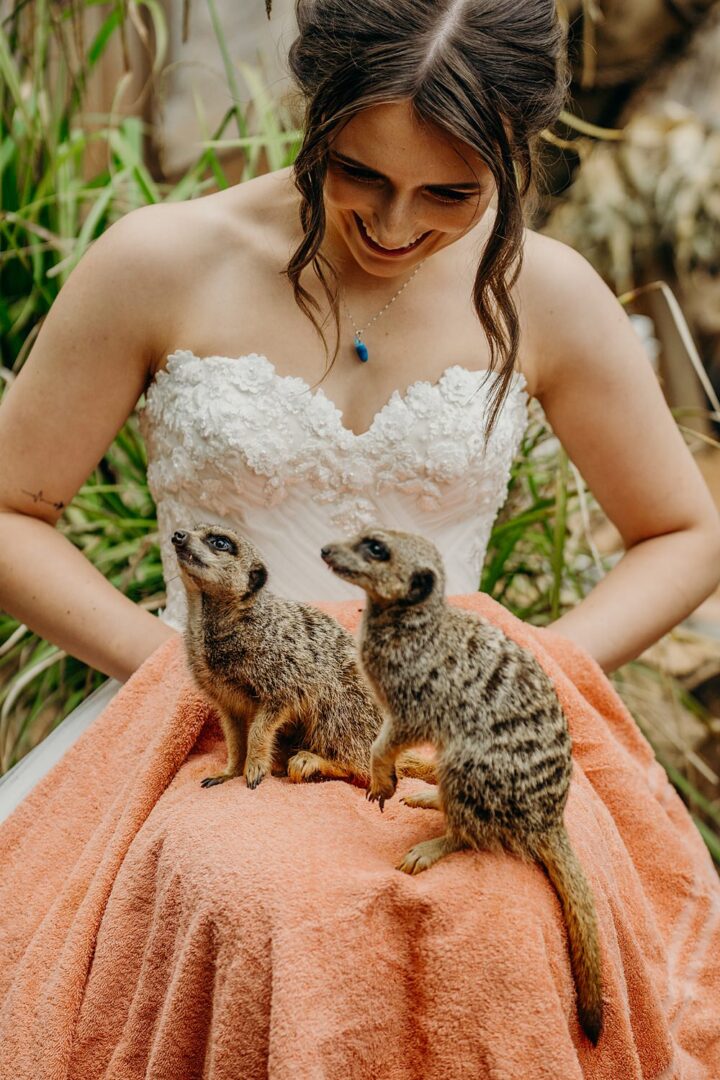 Zoo Wedding Venue Animals Dartmoor Zoo