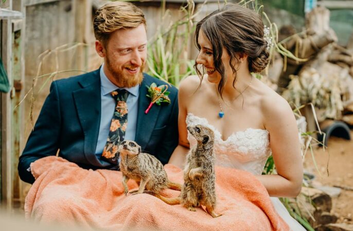 Zoo Wedding Venue Animals Dartmoor Zoo