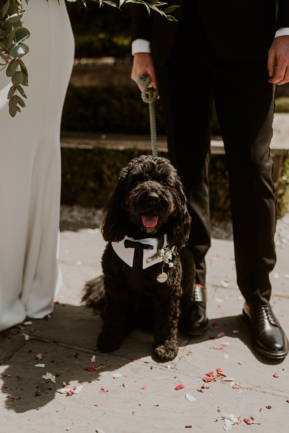 Classic Barn Wedding Firewood Film Pet Dog