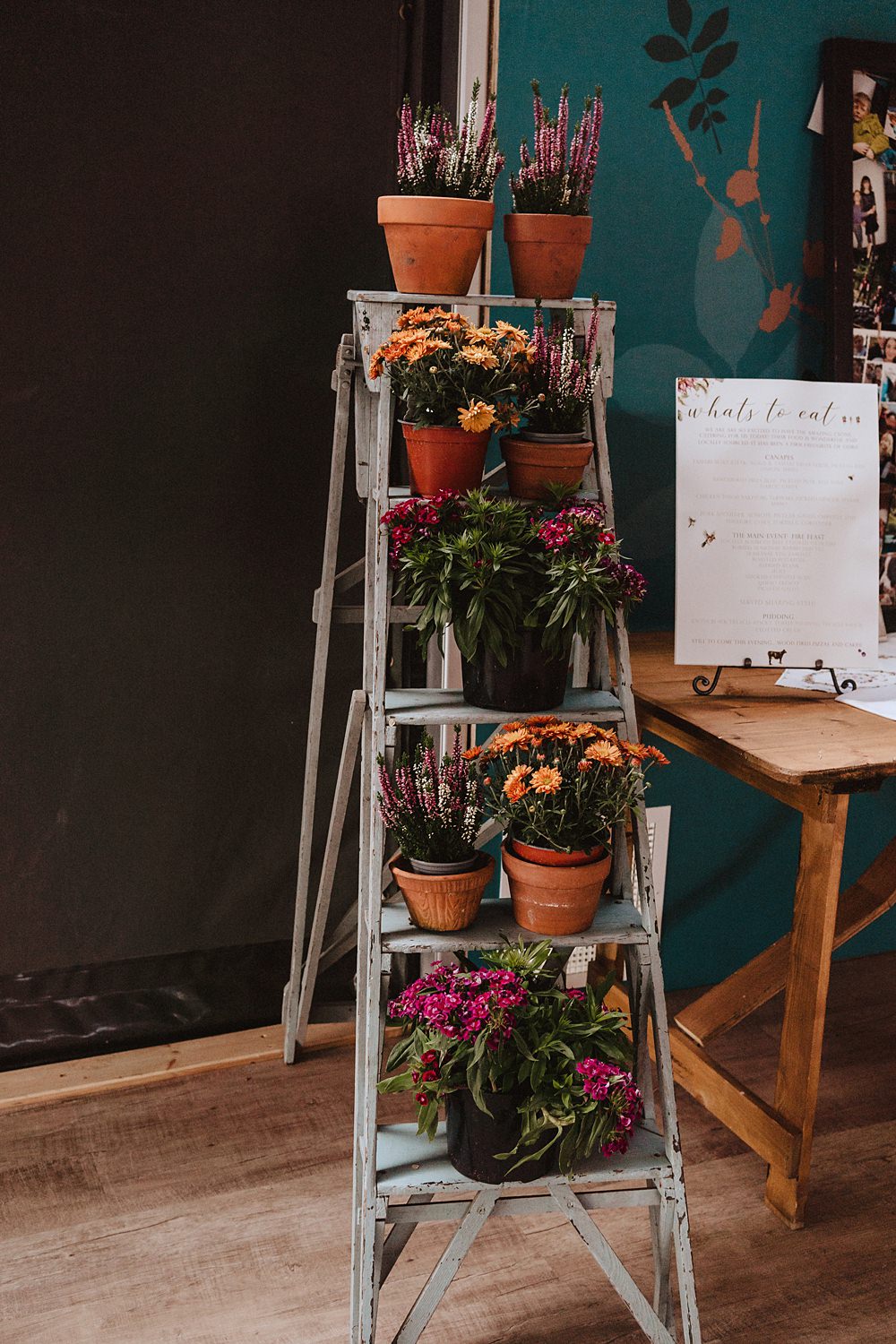 Safari Tent Wedding Indie Love Photography Ladder Decor Pot Plants