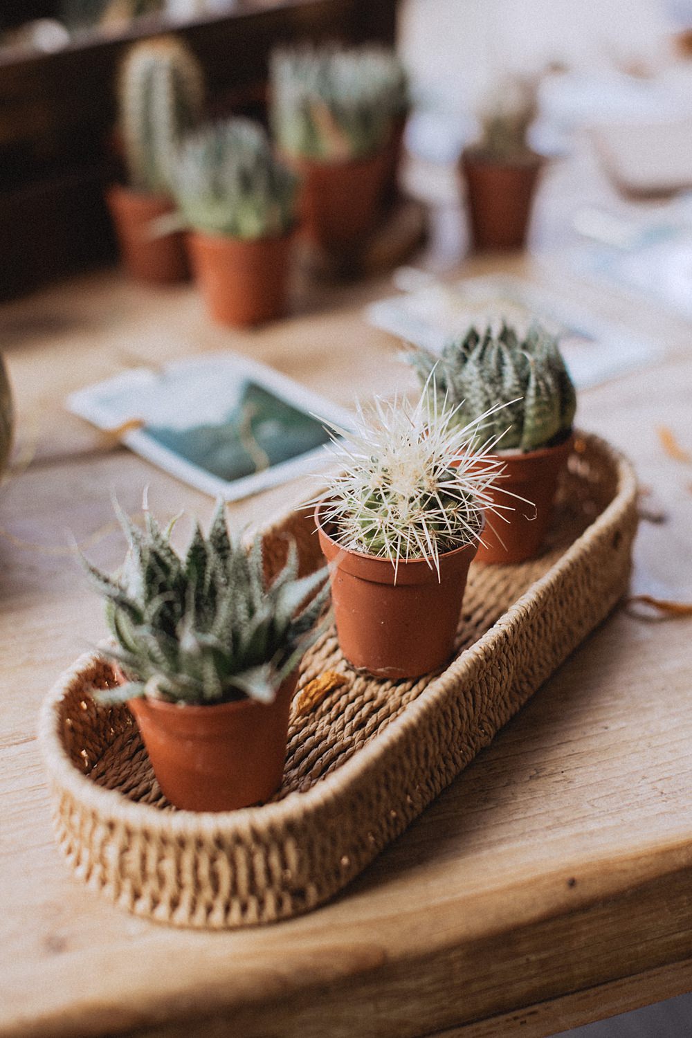 Conwy Barn Wedding Fox and Bear Photography Succulent Tray Wicker