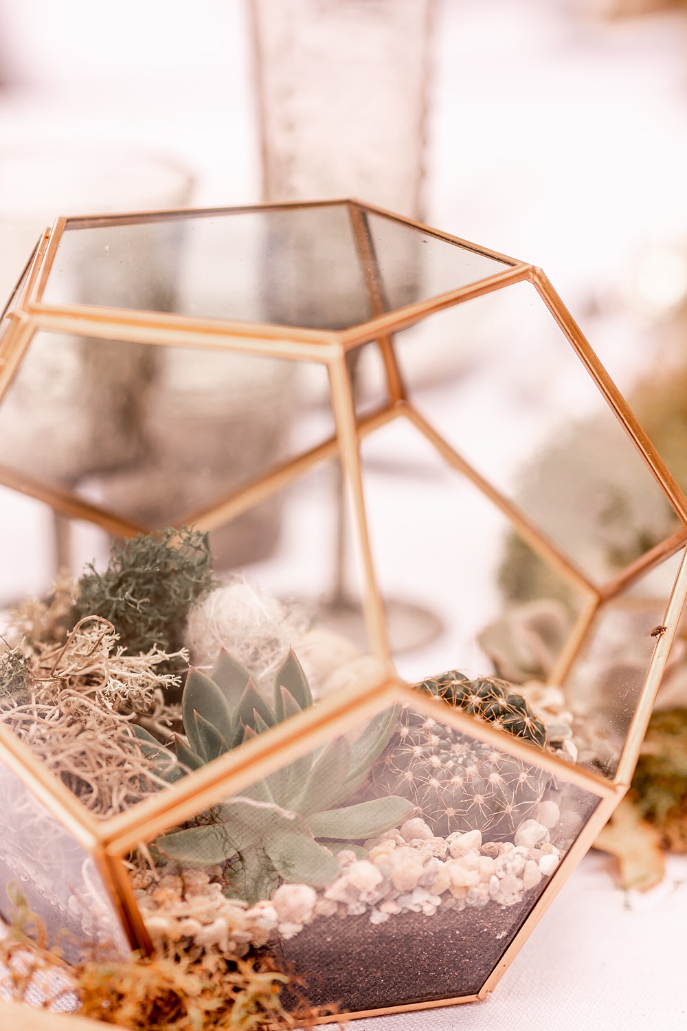 Lilibet Wood Wedding Hannah Betts Photography Terrarium Centrepiece Plants Decor