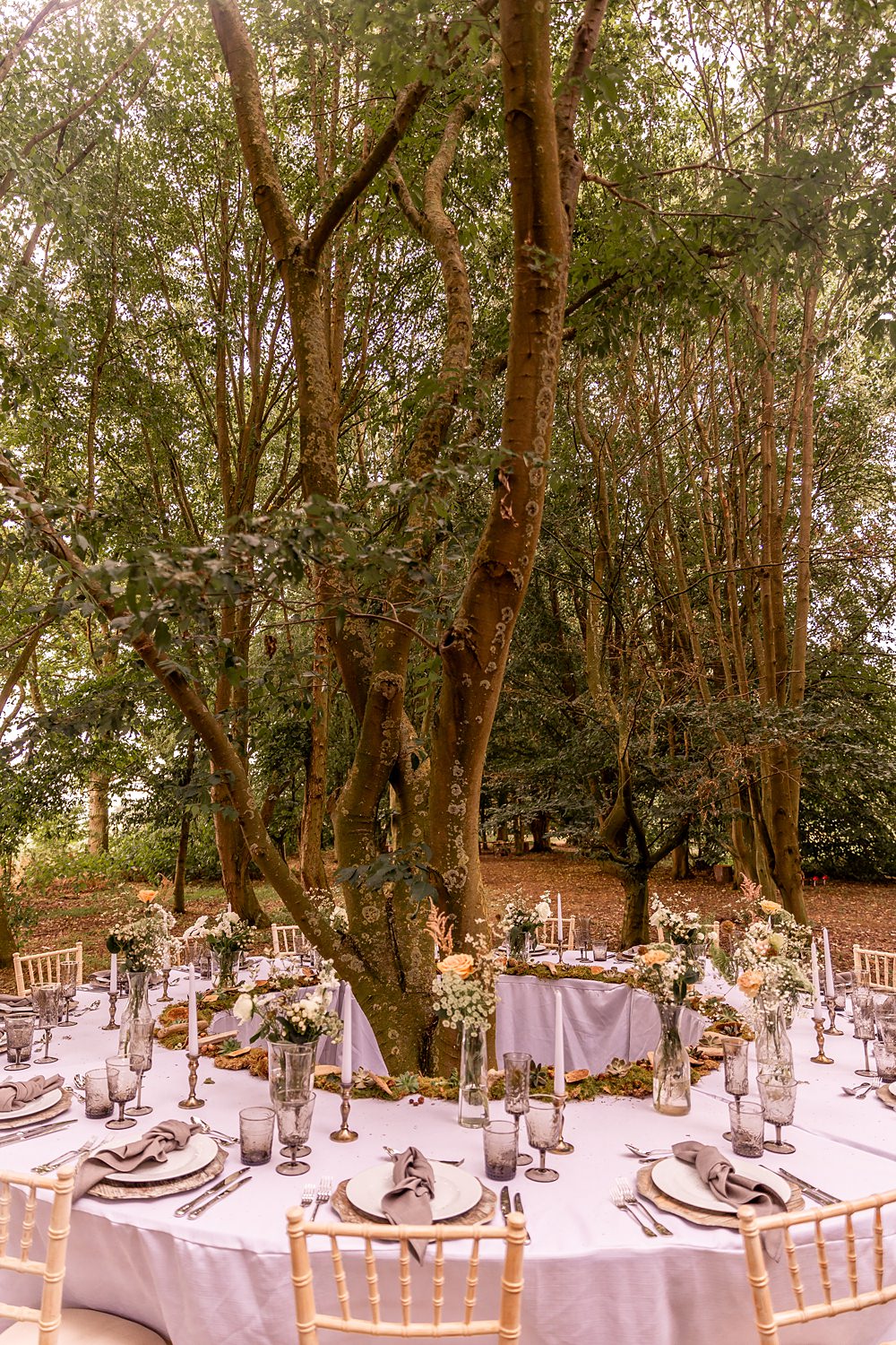 Lilibet Wood Wedding Hannah Betts Photography Circle Hoop Tree Table Decor Outdoor Reception