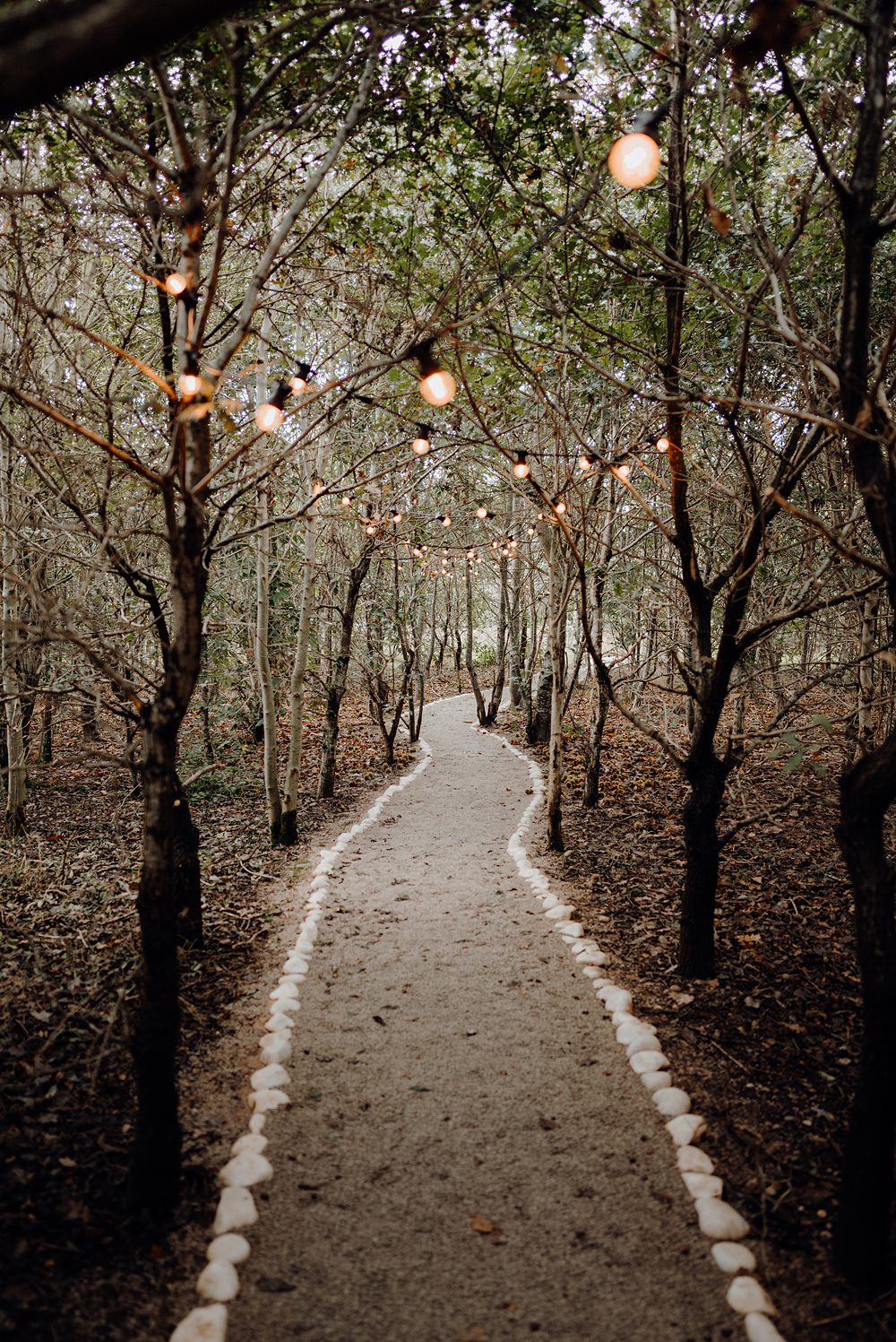 Royle Forest Wedding Bligh and Guy Wedding Visuals Woodland Path Festoon Lights