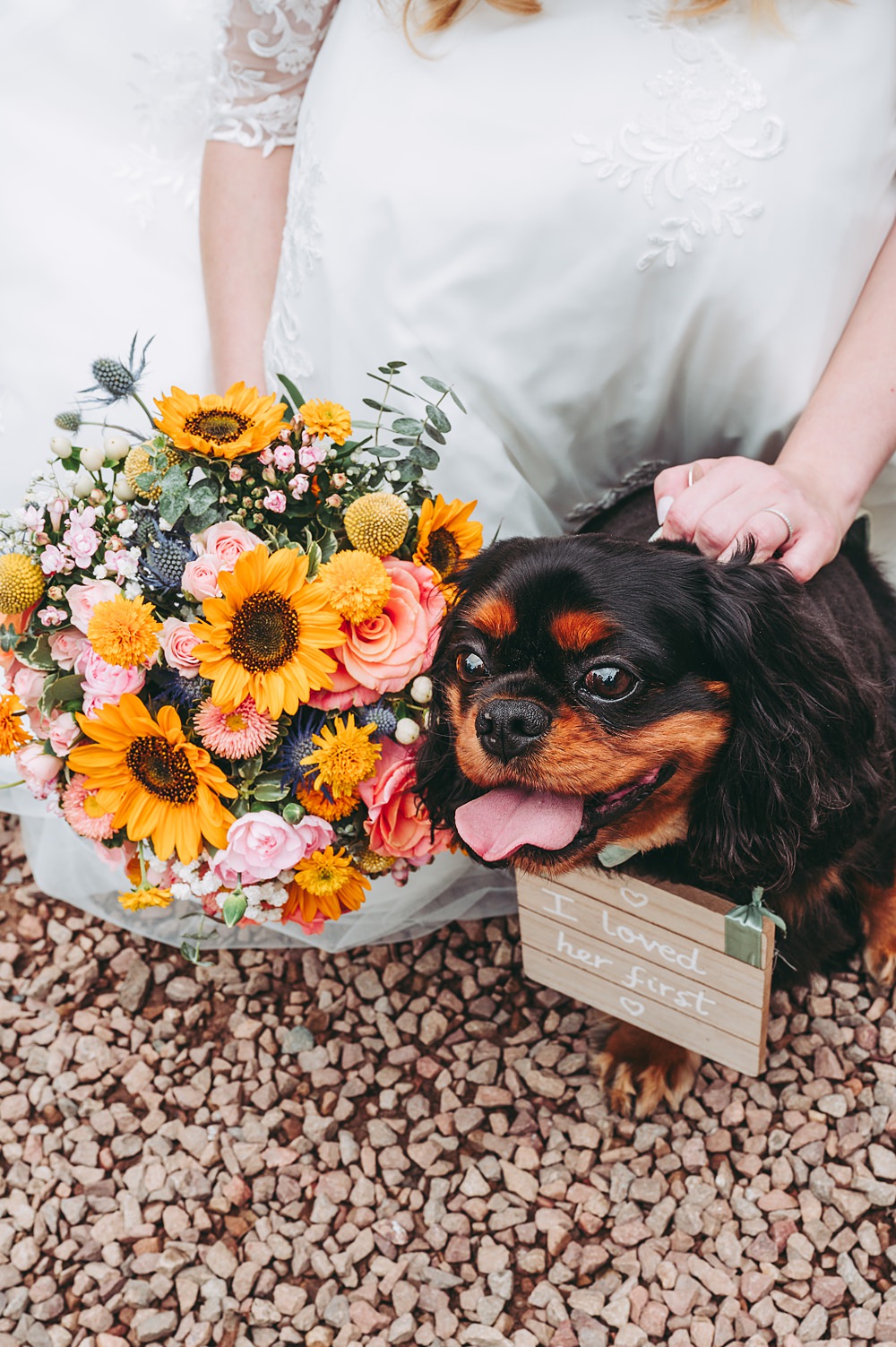 Manor House Wedding Cotswolds Cotswold Pictures Pet Dog Sign Collar