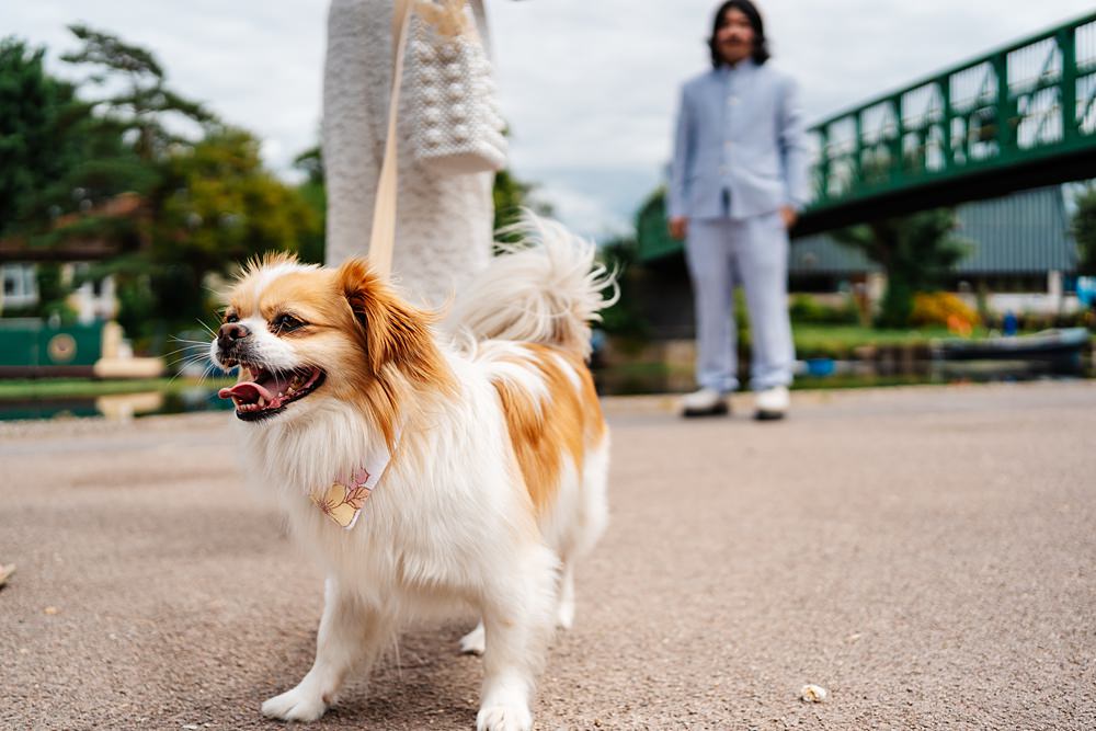 Lea Rowing Club Wedding Marianne Chua Photography Pet Dog