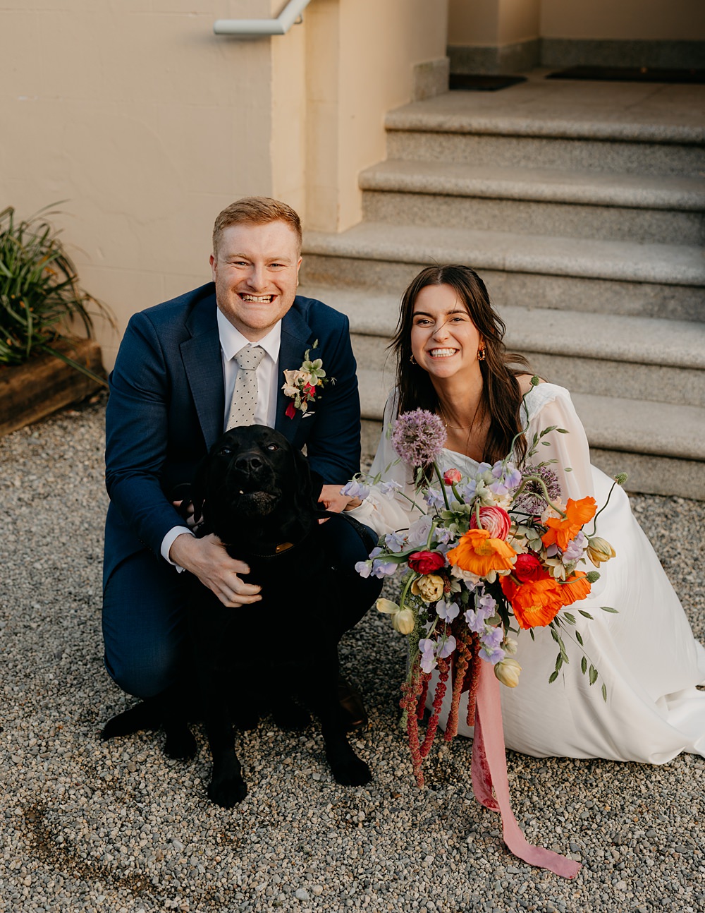 County Down Country House Wedding Iain Irwin Photography Pet Dog