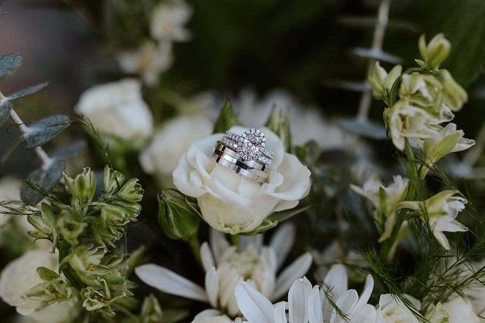 Fern Acres Forks Wedding Brianna Parks Photography Bride Groom Rings Bands