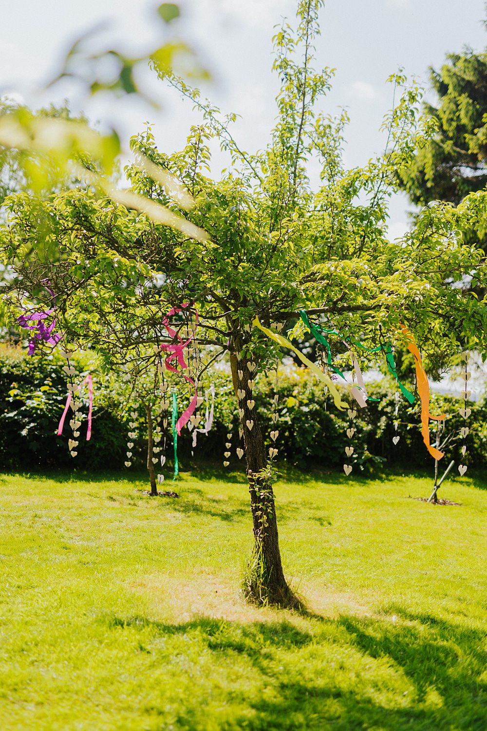Colourful DIY Tipi Garden Wedding Lily North Photography Hanging Tree Decor