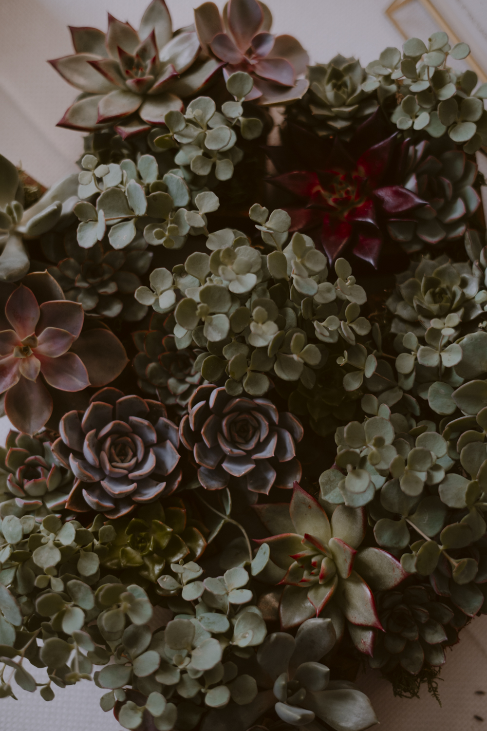 Slindon House Wedding Sasha Weddings Table Centrepiece Wooden Box Succulents