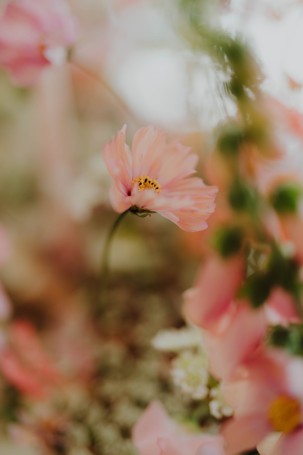 Spring Cotswolds Wedding Ideas Mei Lou Photography Pink Cosmos Flower