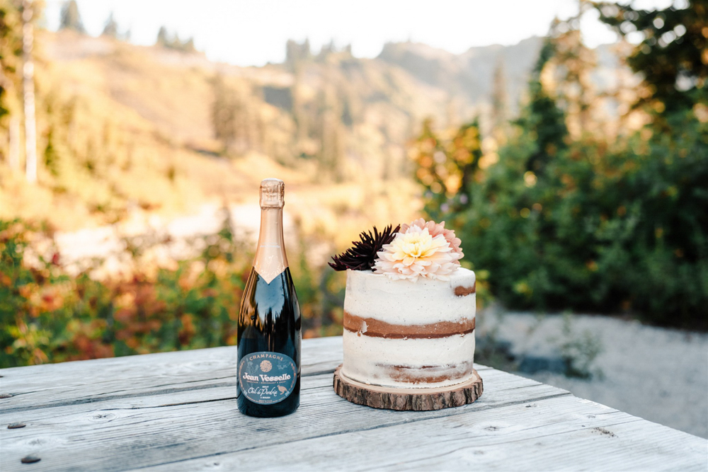 North Cascades National Park Elopement The Foxes Photography Single Tier Naked Cake