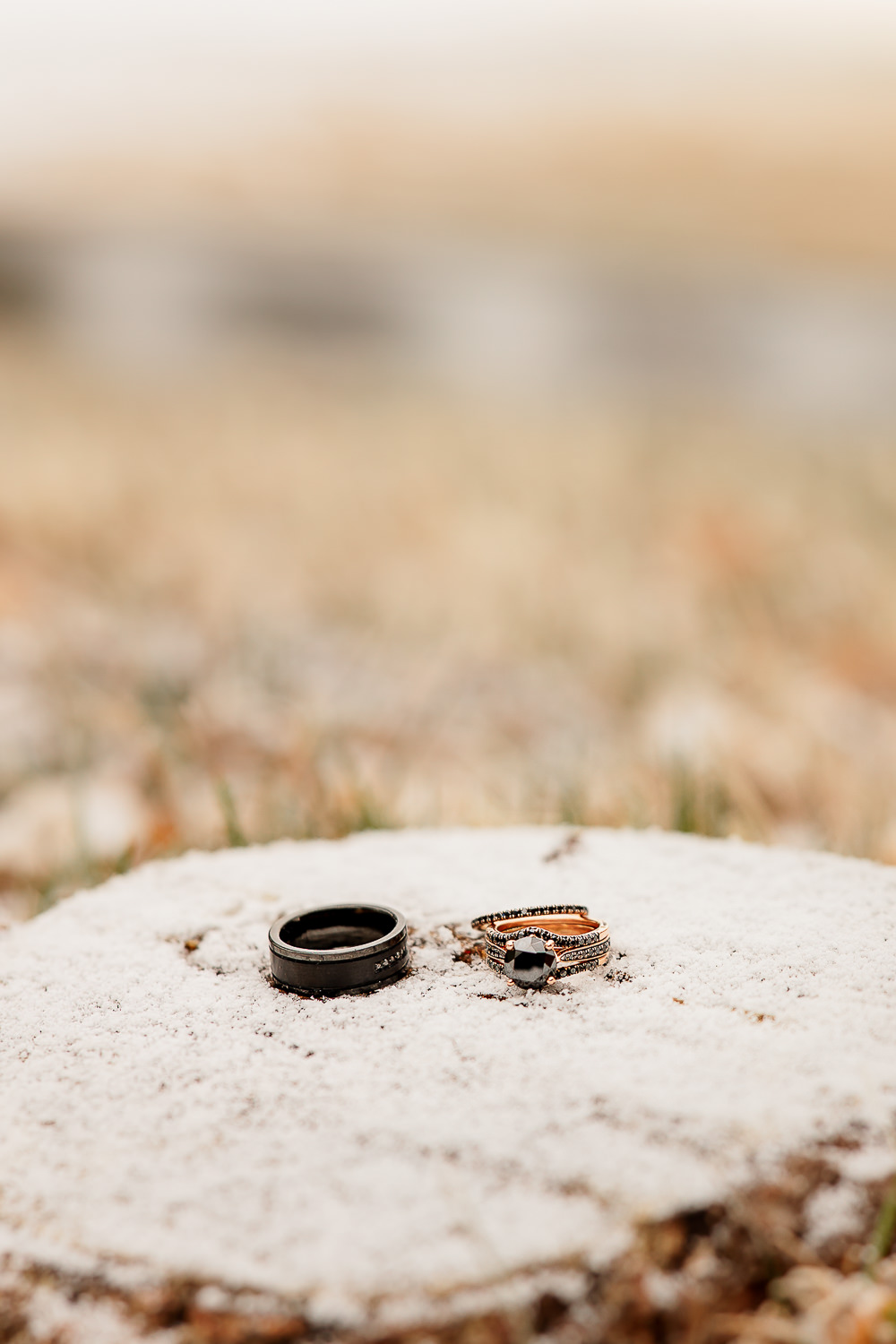Spruce Mountain Ranch Wedding Michelle Betz Photography Rings Bands
