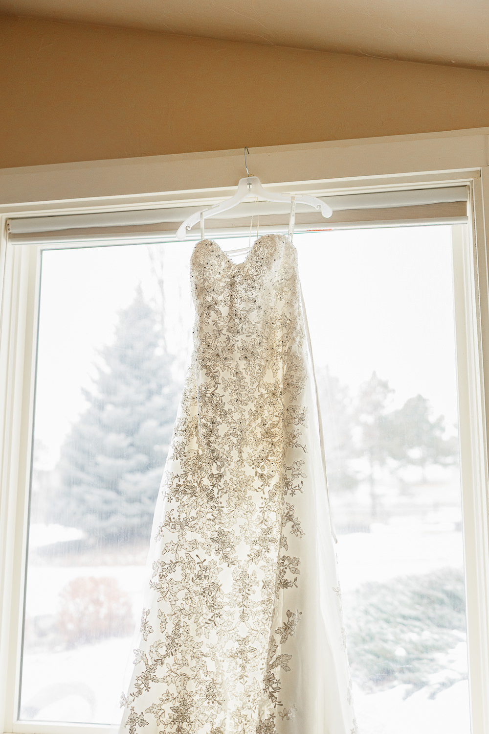 Spruce Mountain Ranch Wedding Michelle Betz Photography Strapless Sweetheart Lace Gown